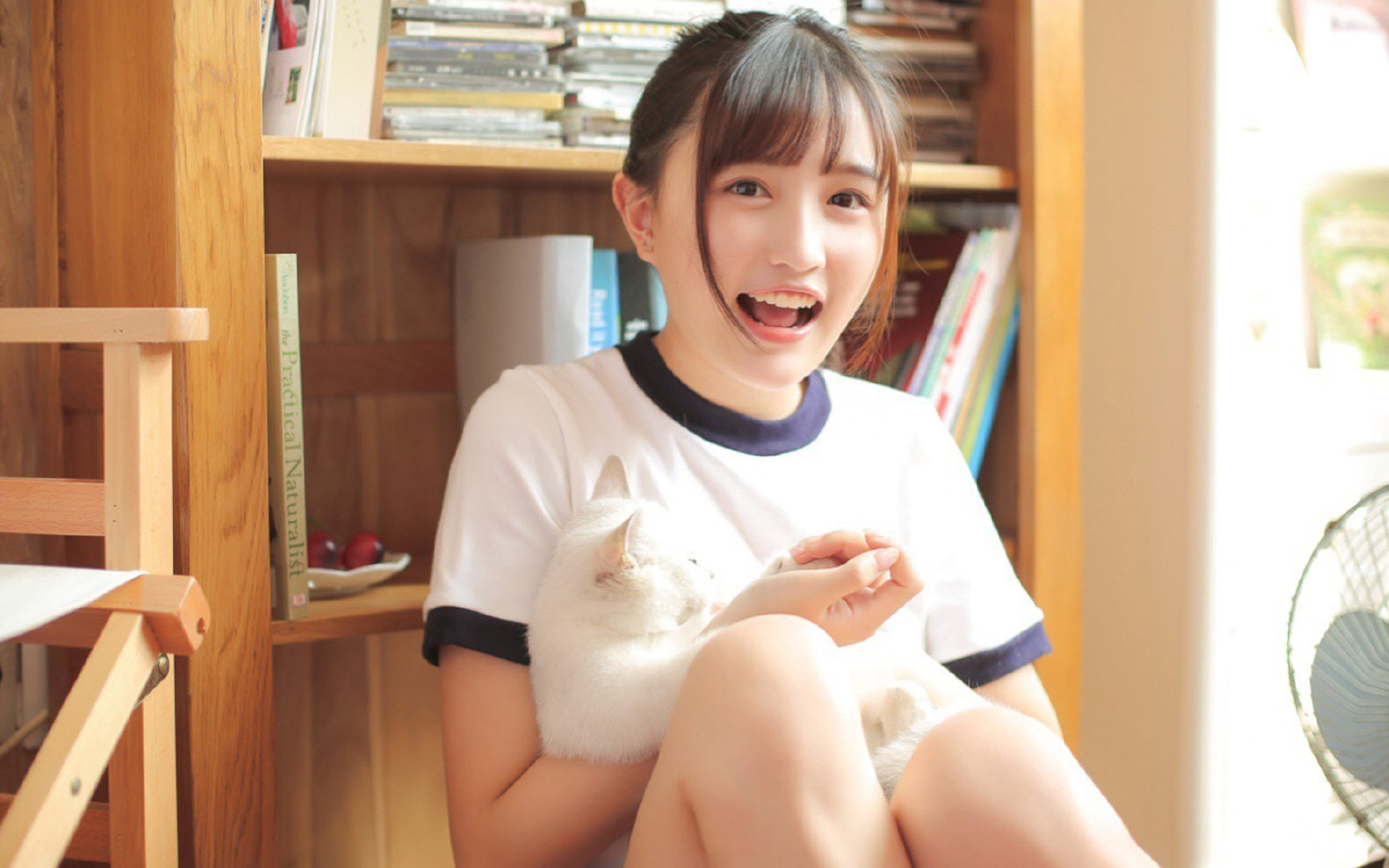 王者荣耀观众画像年轻群体占主导，王者荣耀画展