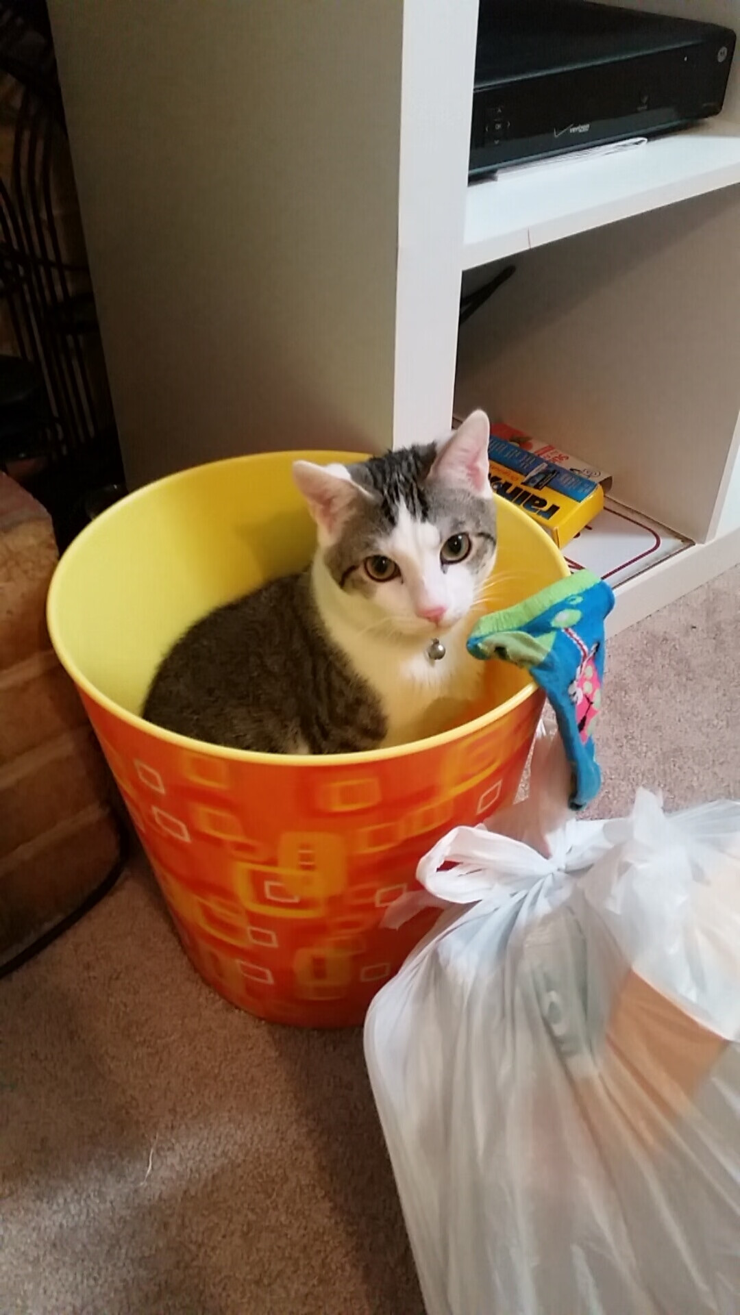 罗马尼亚队在国际乒联混合团体世界杯中迎难而上,罗马尼亚乒乓球选手