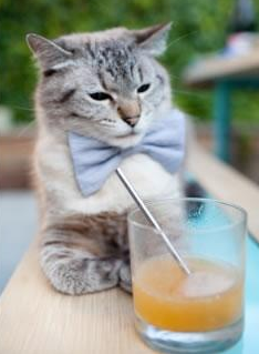 联盟最擅长应对压迫防守的控卫盘点，联盟防守效率