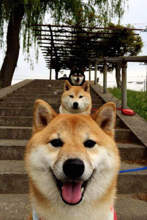 中国篮球为何难以形成全民参与热潮，为什么篮球在中国这么受欢迎